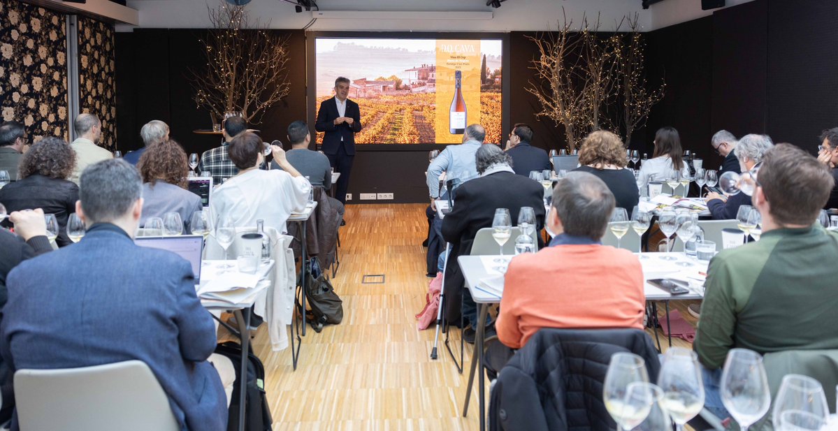 D.O. Cava tweet media