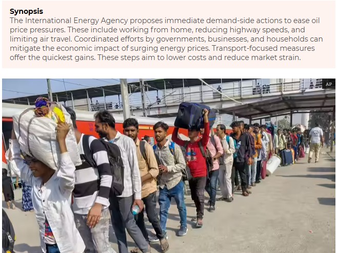 Pink Cerberus tweet media