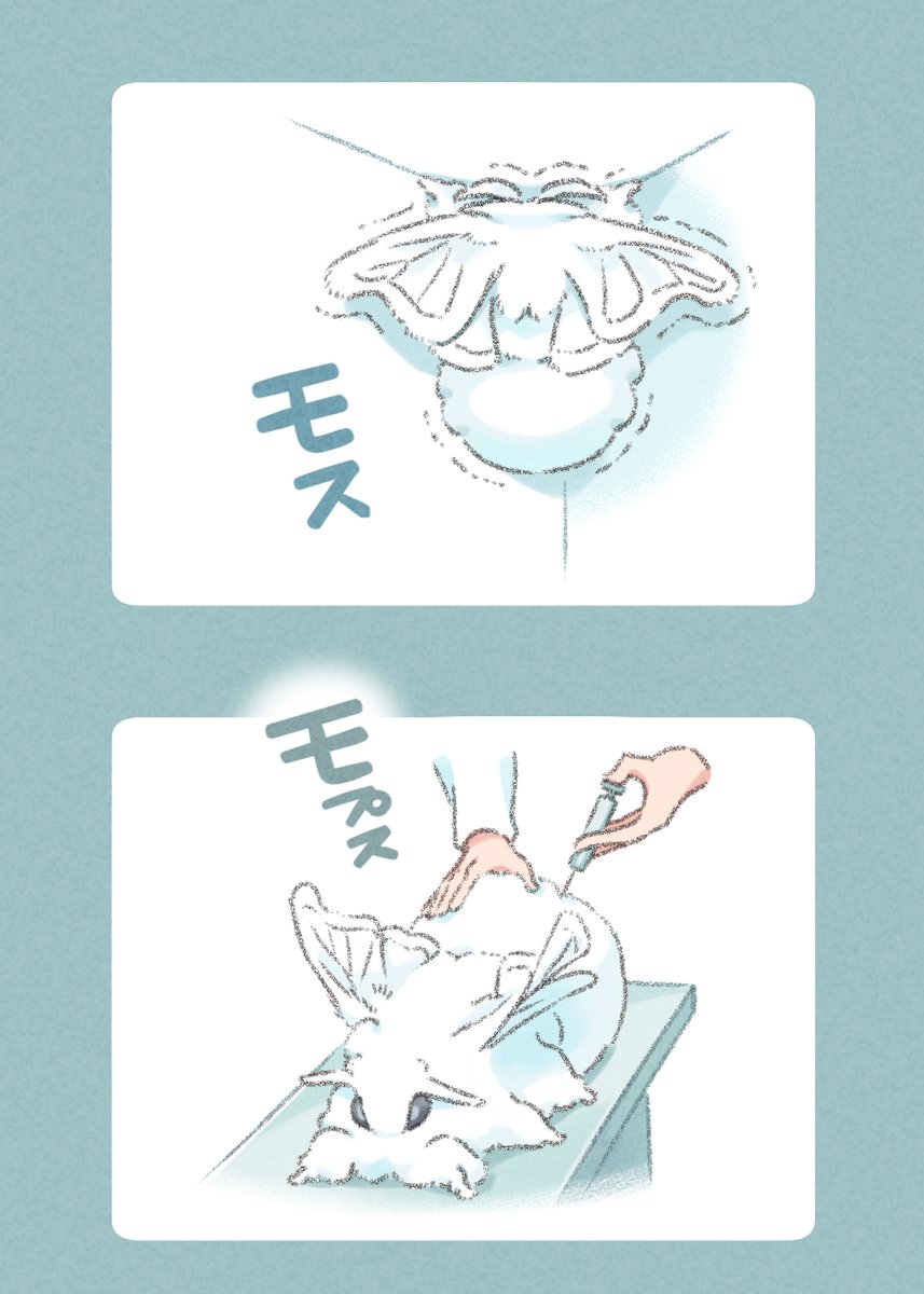 予防注射のモス