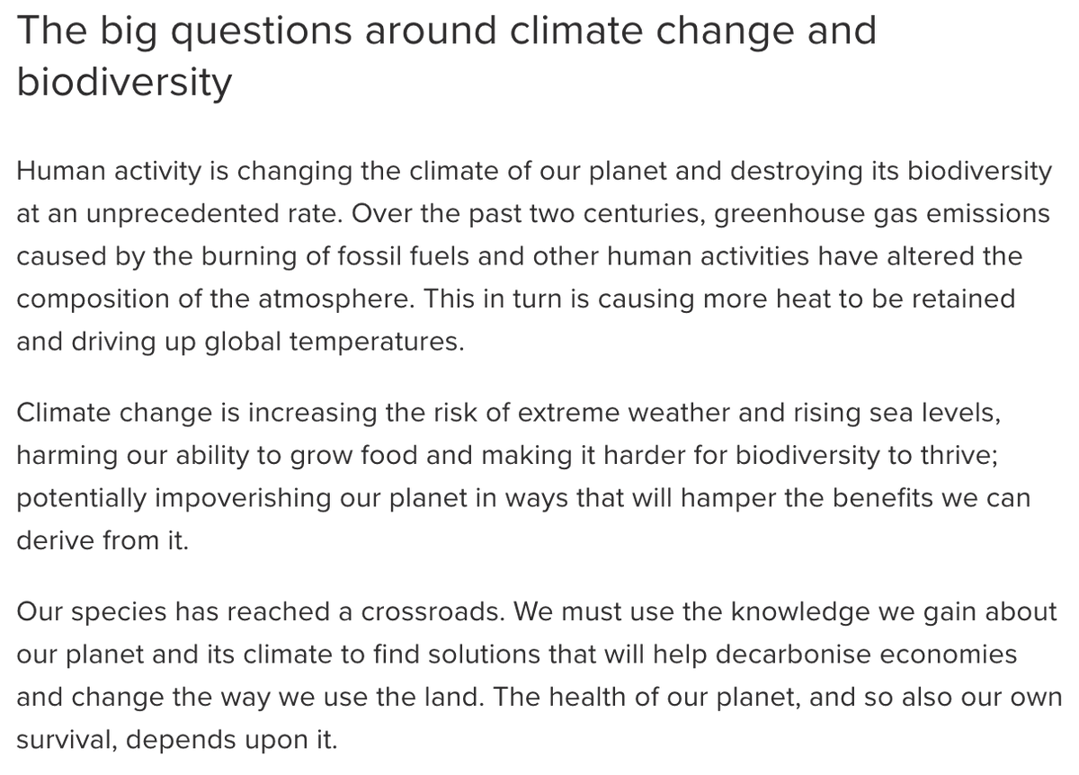 icarus62 tweet media