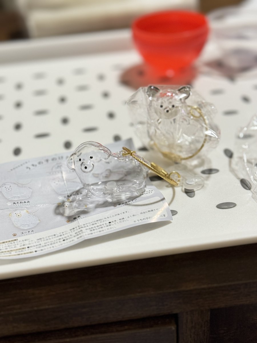 ぽー日誌 tweet media