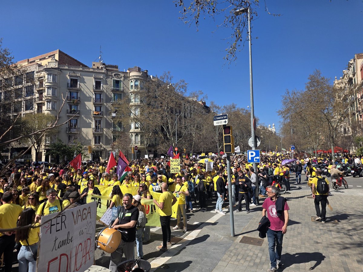 David D'Amer tweet media