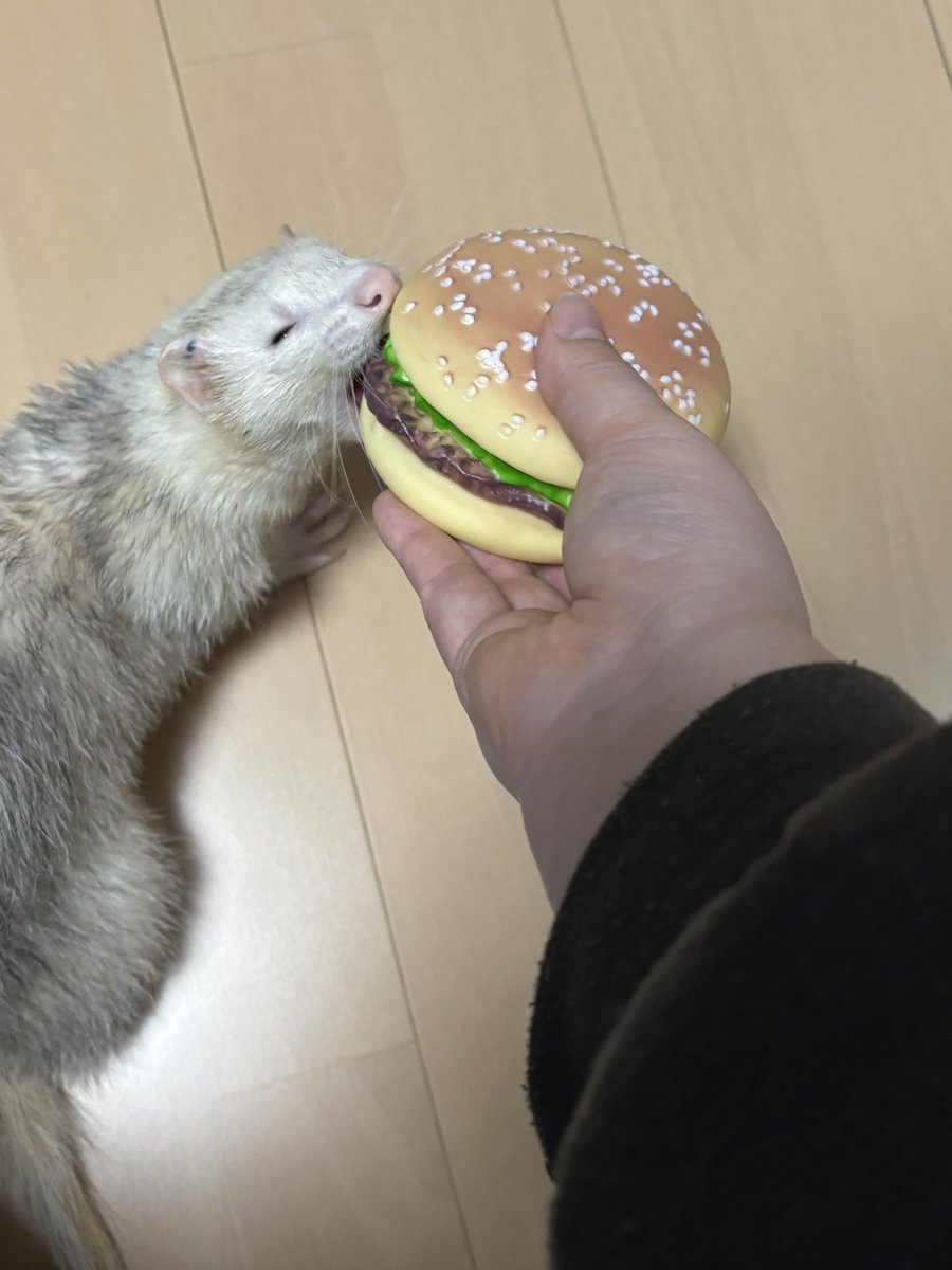 なんだこれ？
ウマァ✨