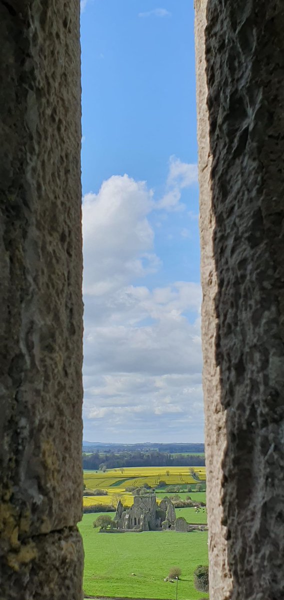 Tracy 💜 ☮️ 📸 ✍🏼 tweet media