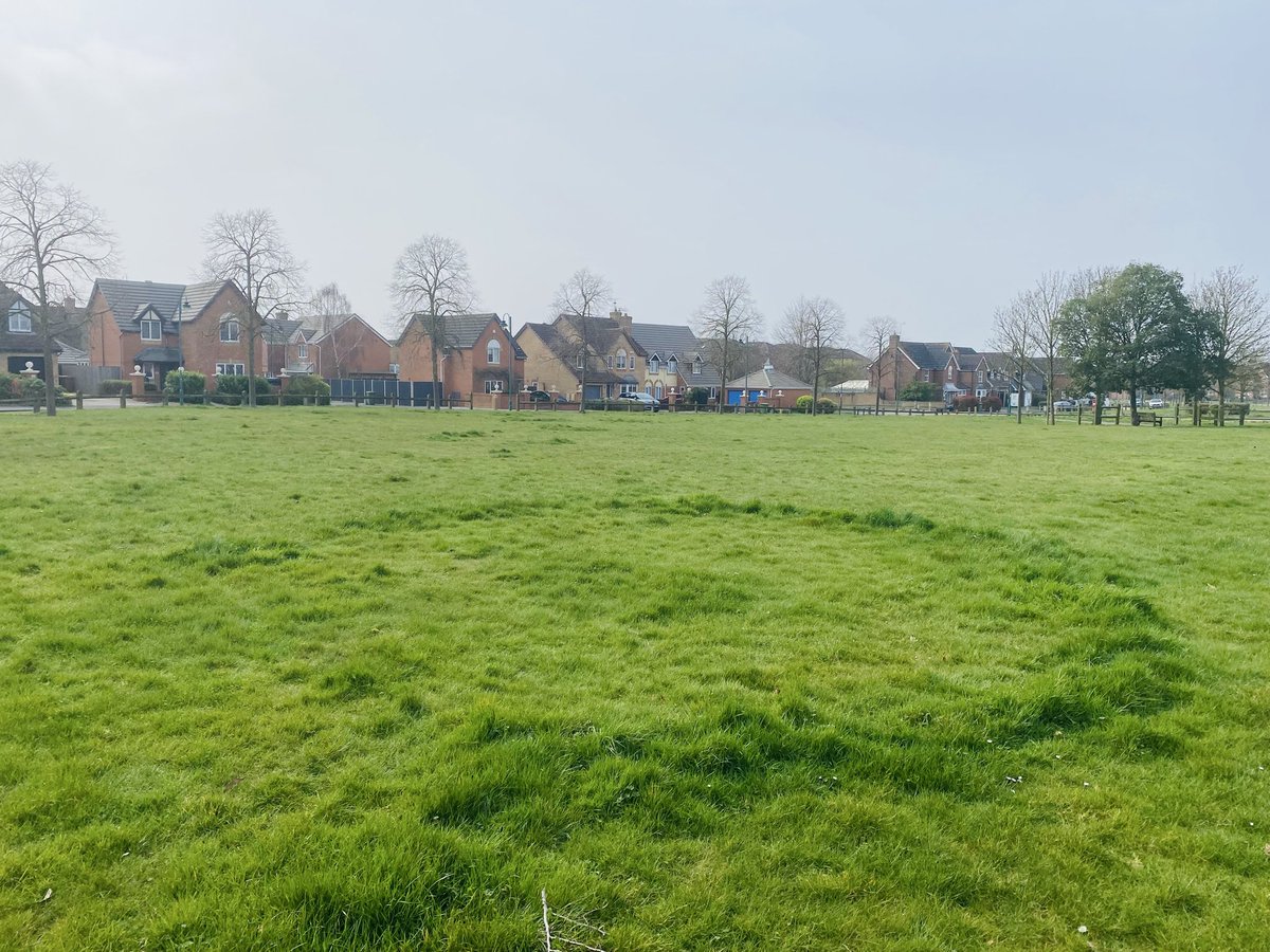 Dr Francis Young tweet media