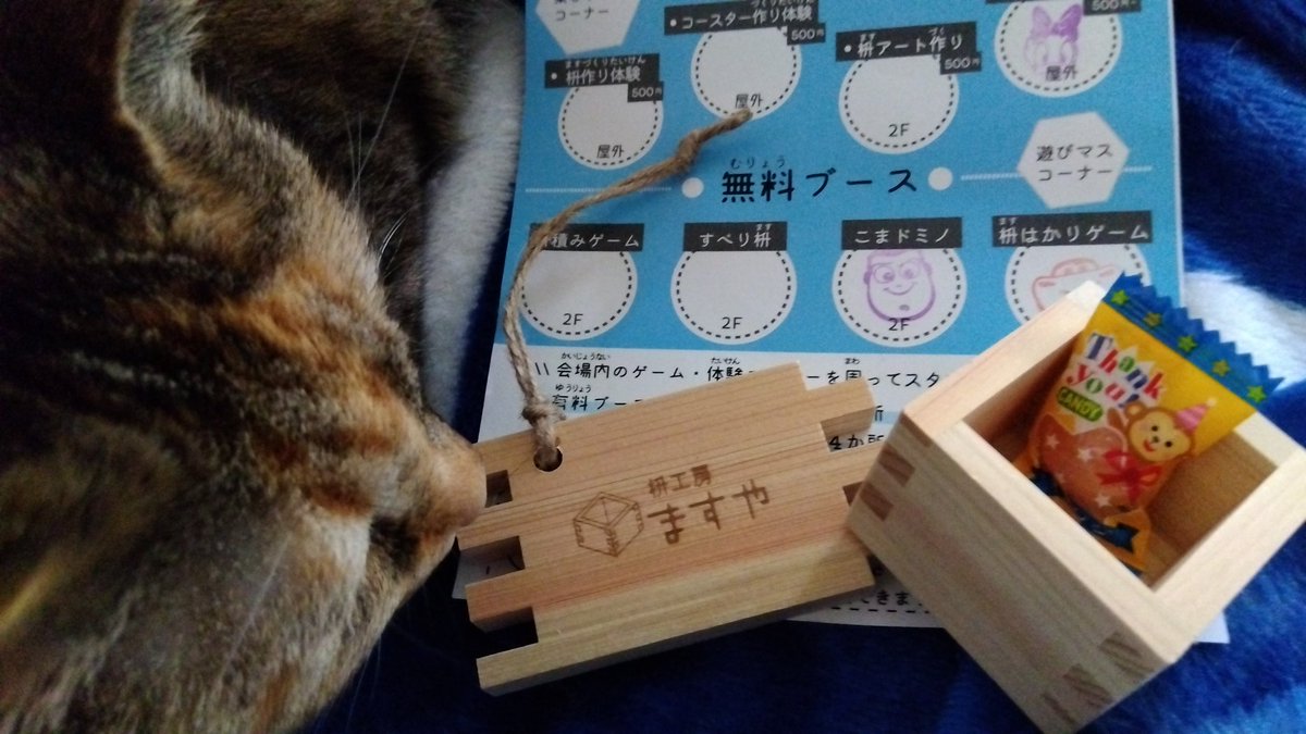 🐣 みんと 🐣 🐾 🐾 🐾 🌿 tweet media