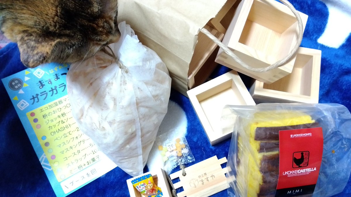 🐣 みんと 🐣 🐾 🐾 🐾 🌿 tweet media