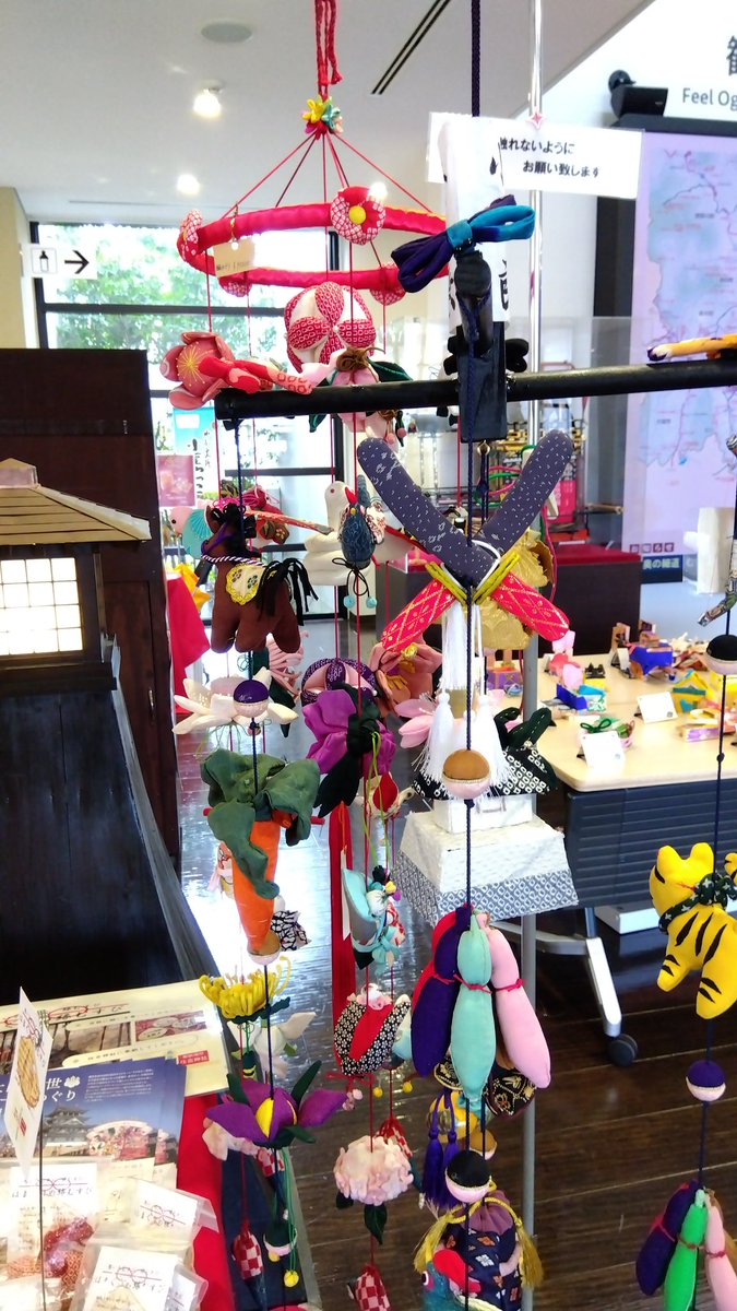 🐣 みんと 🐣 🐾 🐾 🐾 🌿 tweet media