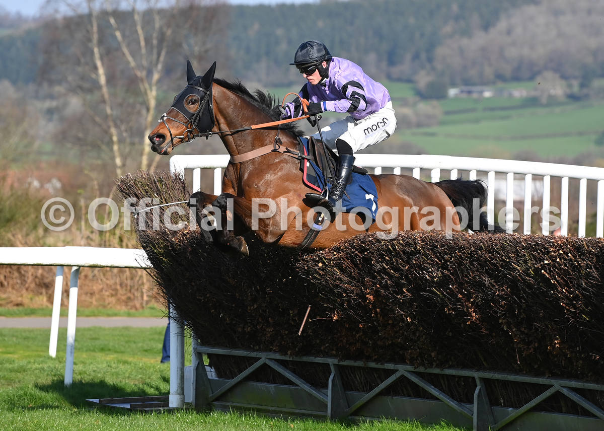 OfficialPhotographers tweet media