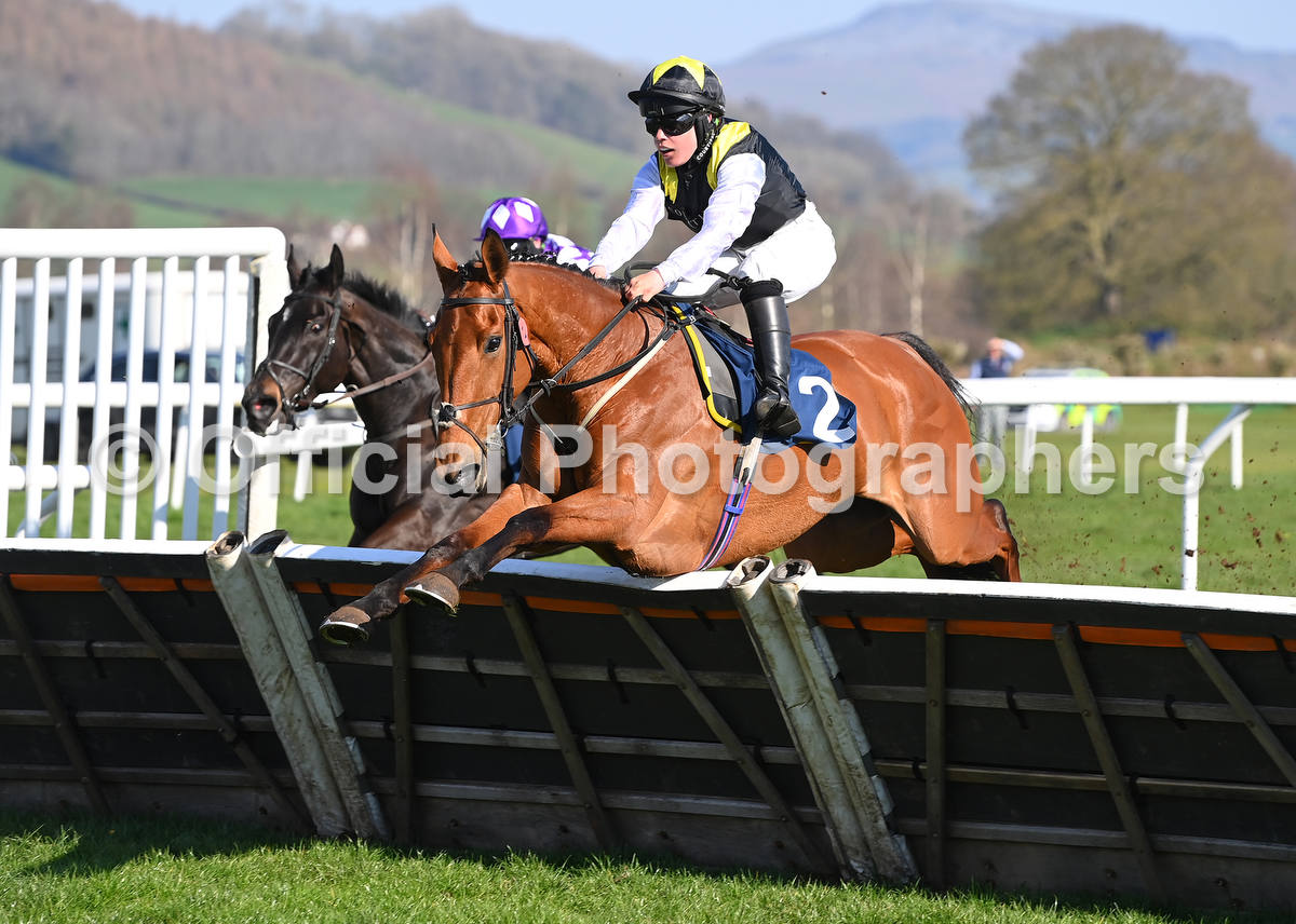 OfficialPhotographers tweet media