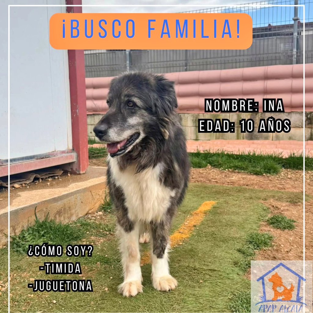 APAP Alcalá tweet media