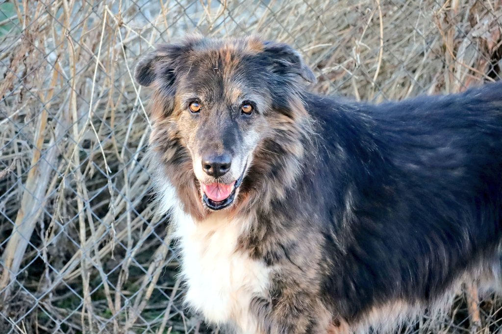 APAP Alcalá tweet media