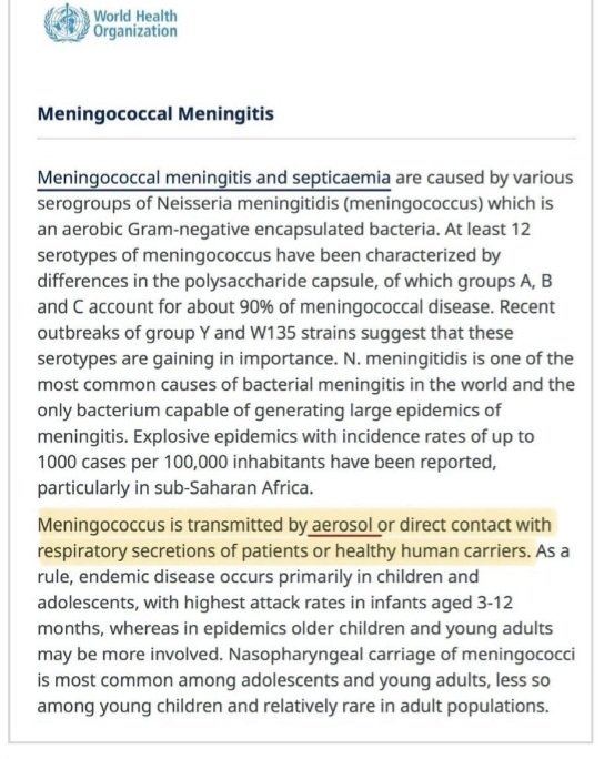 The White Rabbit Podcast 🐇 tweet media