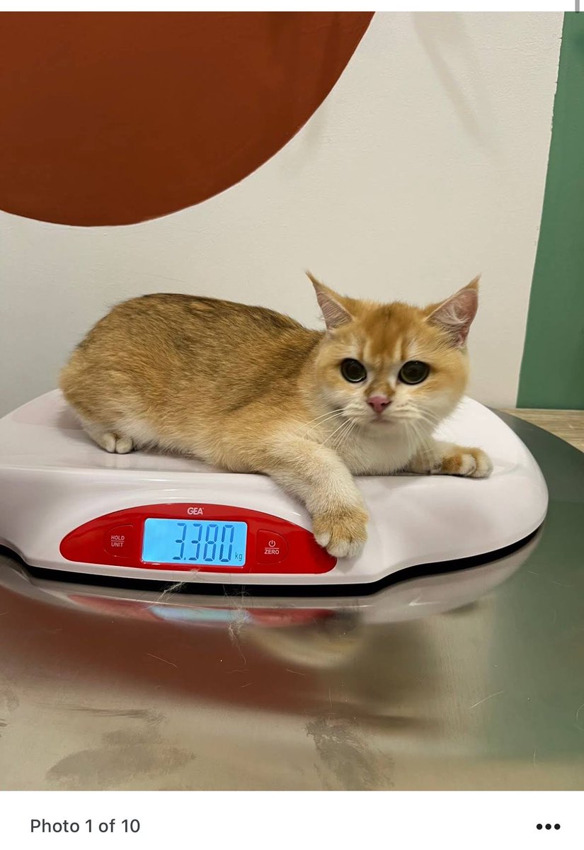 aphin123 tweet media