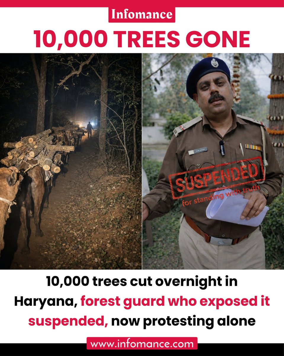 Infomance tweet media