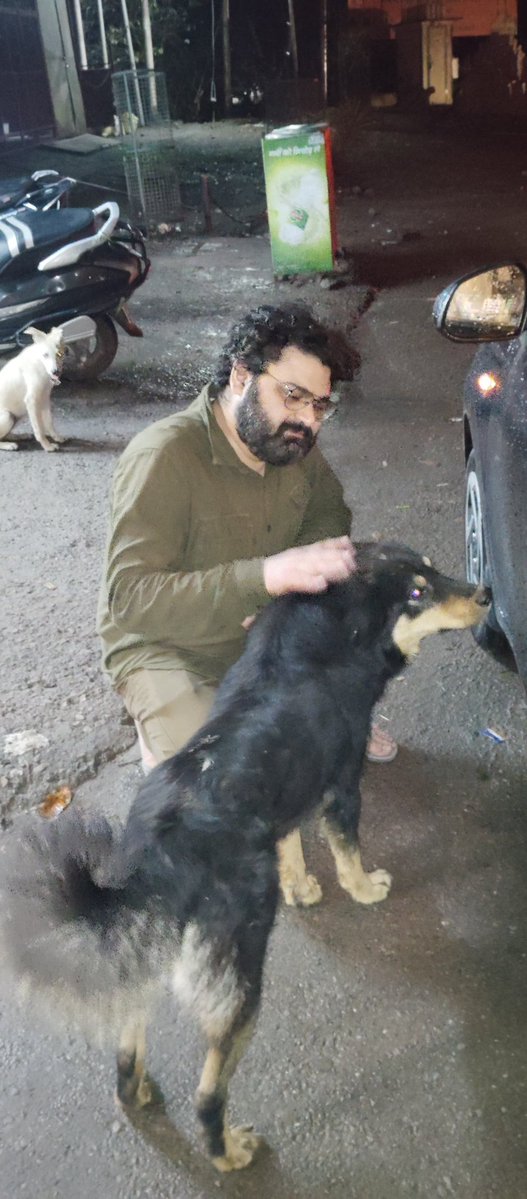 Mady 🍊💊 tweet media