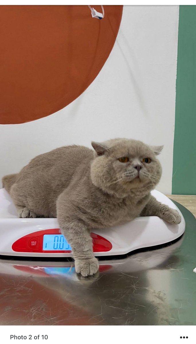 aphin123 tweet media