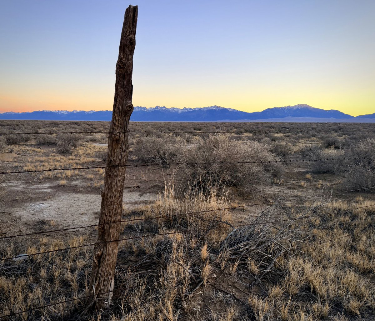 D Miller tweet media