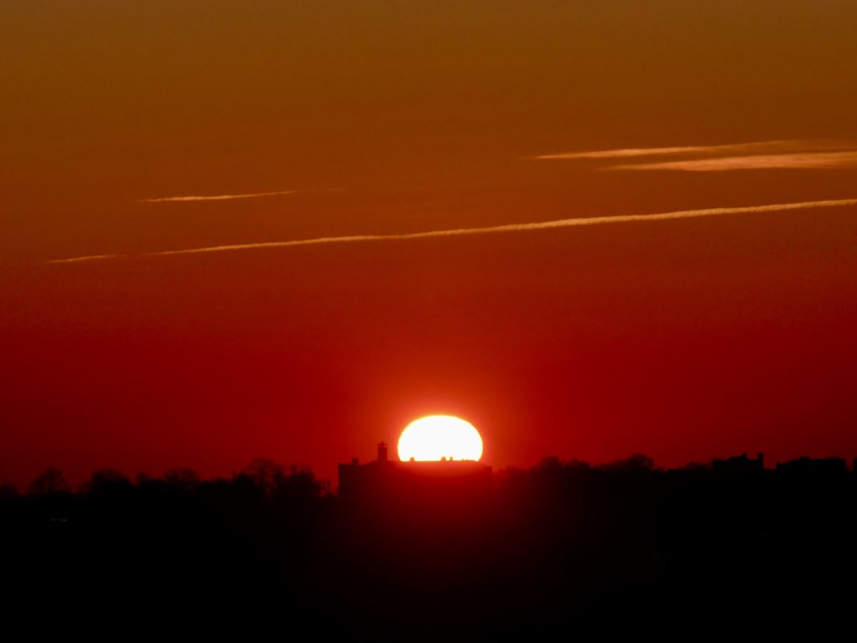 C on the scene tweet media