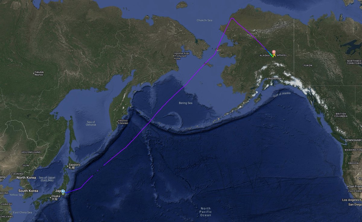 Flightradar24 tweet media
