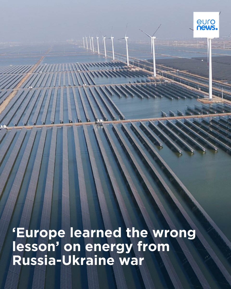 euronews tweet media