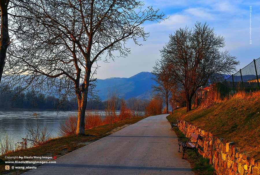 Xiaolu Wang tweet media