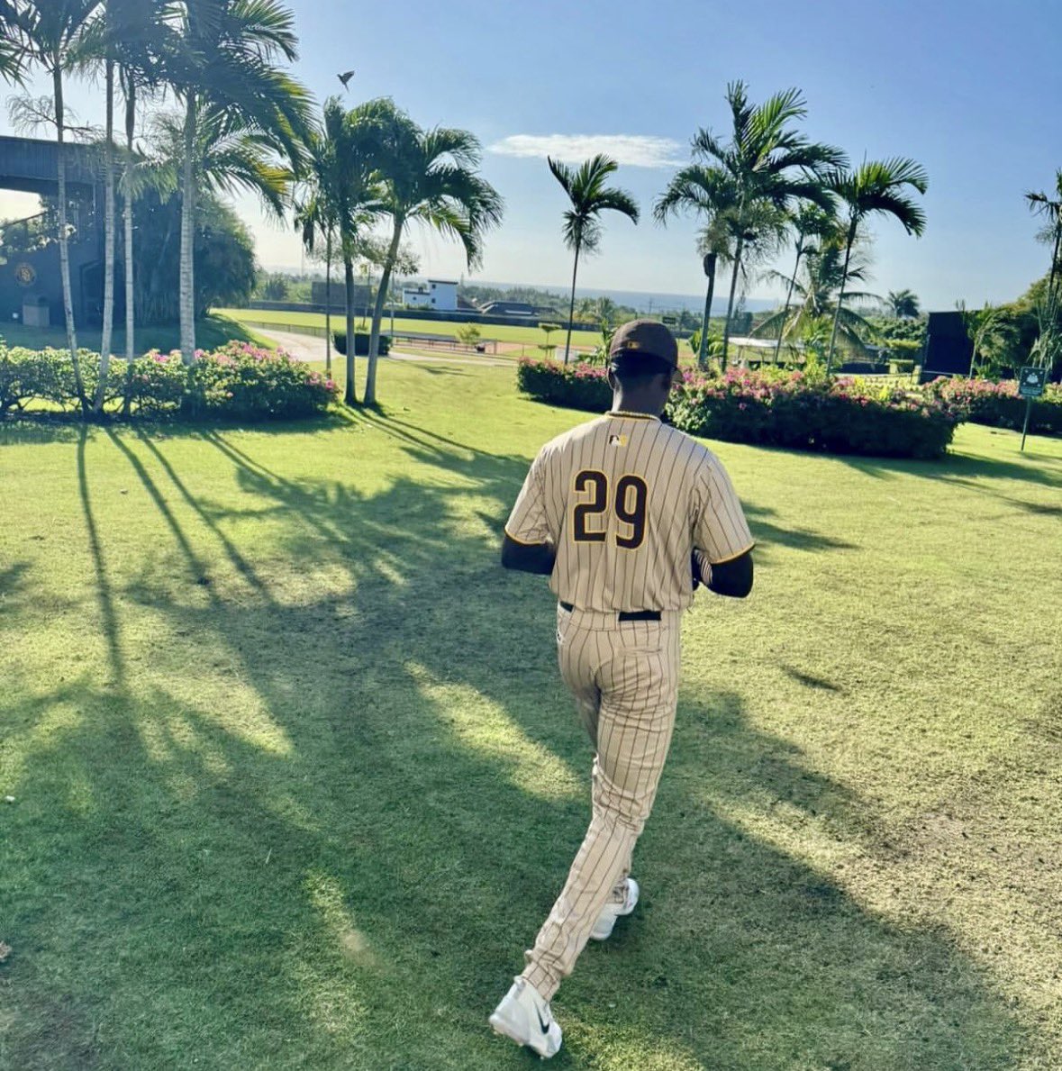 Mets Prospect Group tweet media