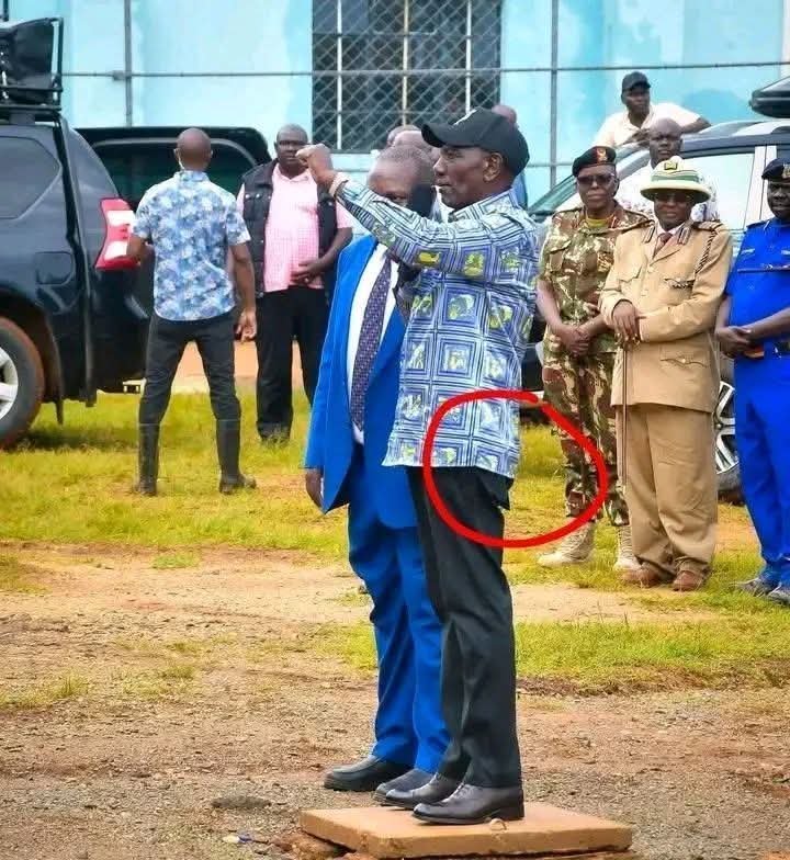 George T. Diano tweet media