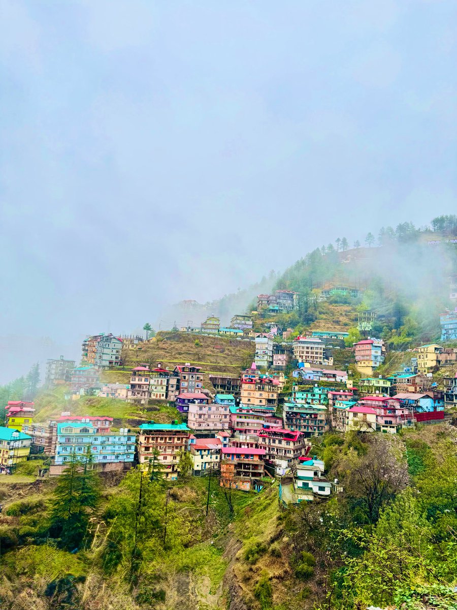 Professor Cardz tweet media