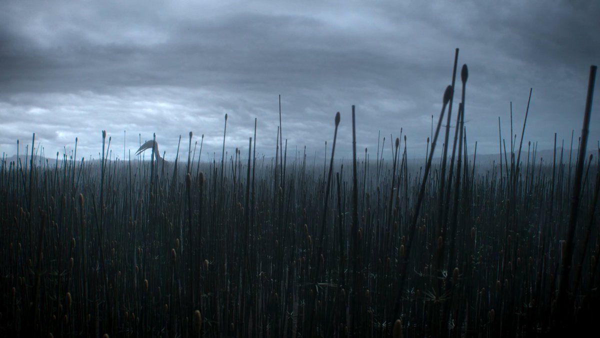 Ísis🦖 tweet media