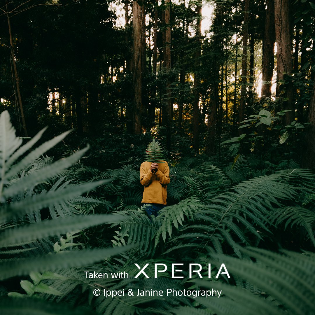 Sony | Xperia tweet media