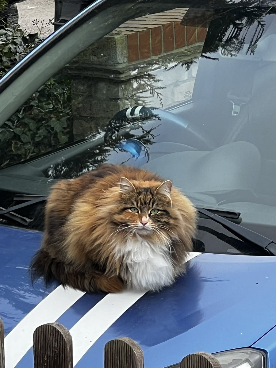 Simon 🏴 tweet media