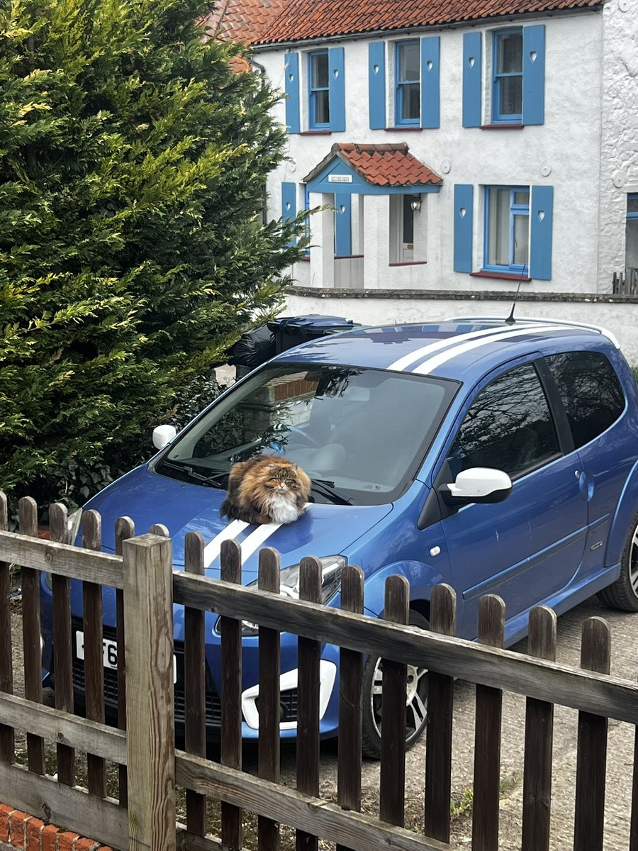 Simon 🏴 tweet media