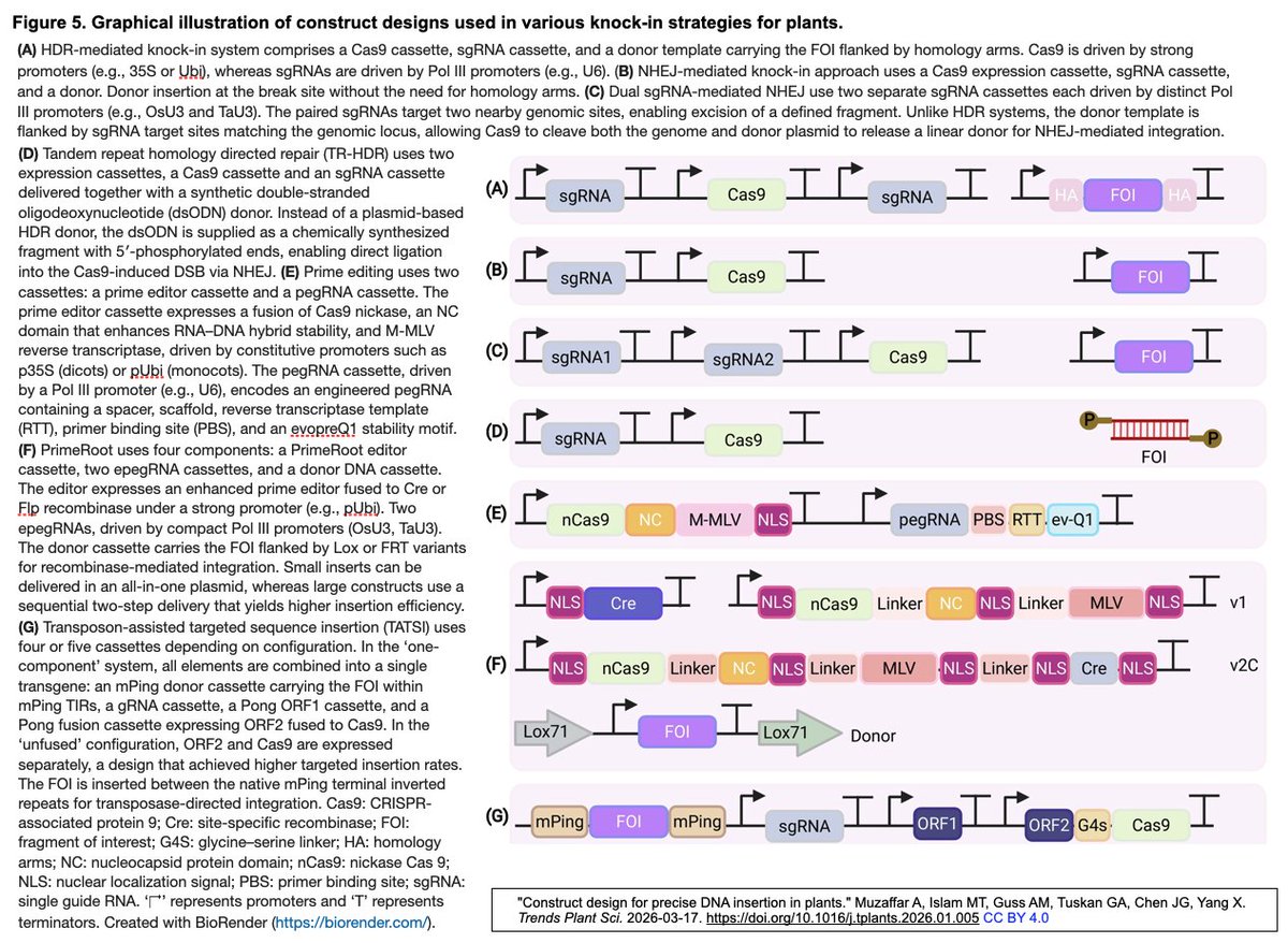 CRISP_SCIENCE tweet media