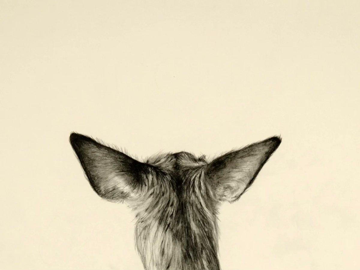 DarkMountainProject tweet media