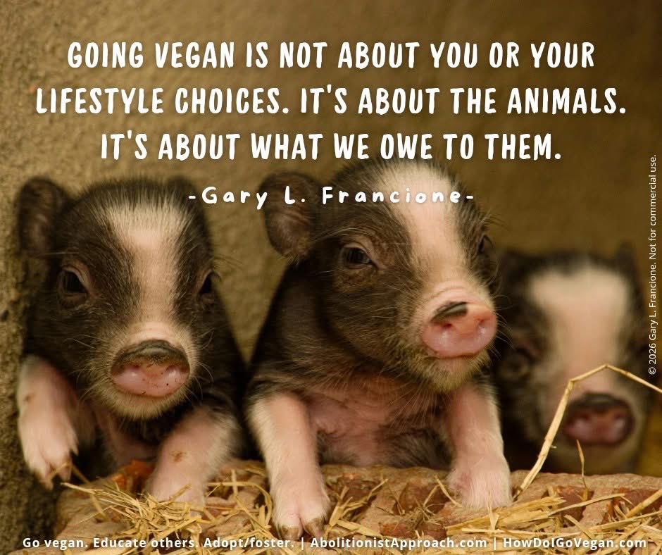 Prof. Gary Francione tweet media