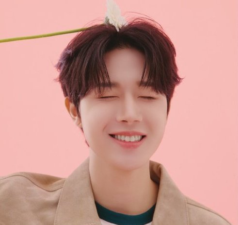 auenness tweet media