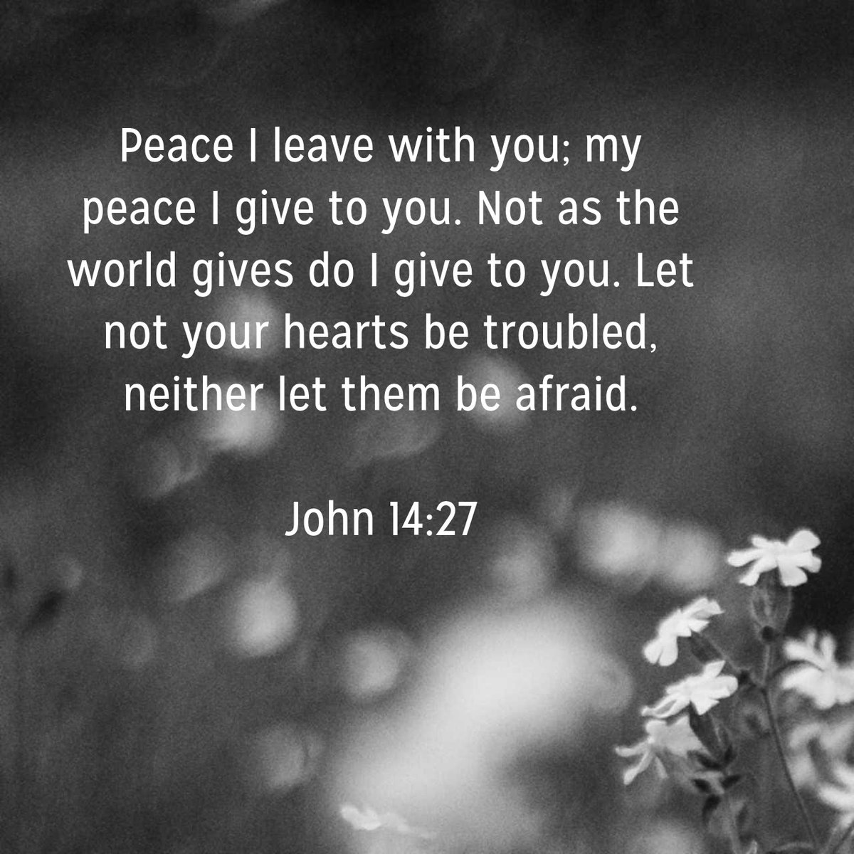 Chris Enoch tweet media