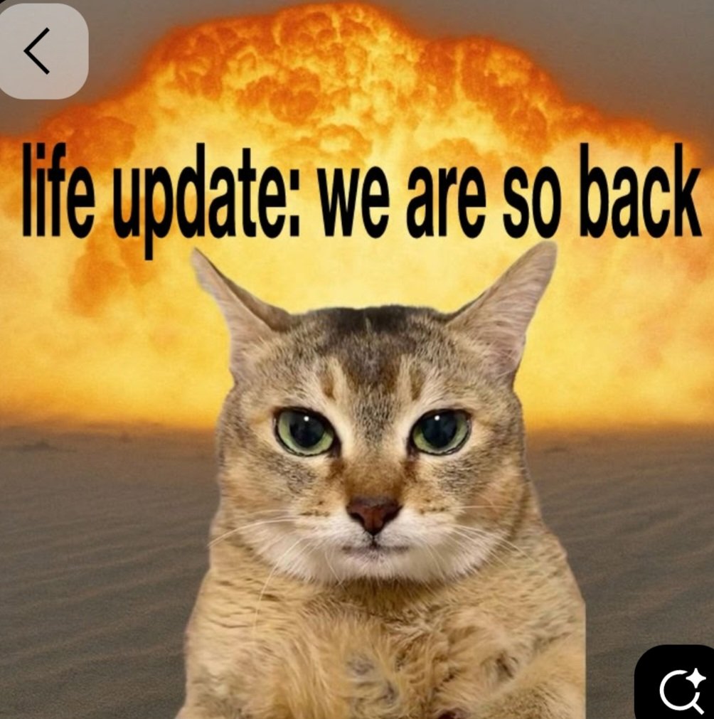 ✠︎🇪🇺🇩🇪Karma (Freuding Loyalist)🇩🇪 🇪🇺✠︎ tweet media