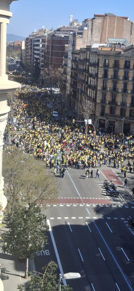 Toni O+O tweet media