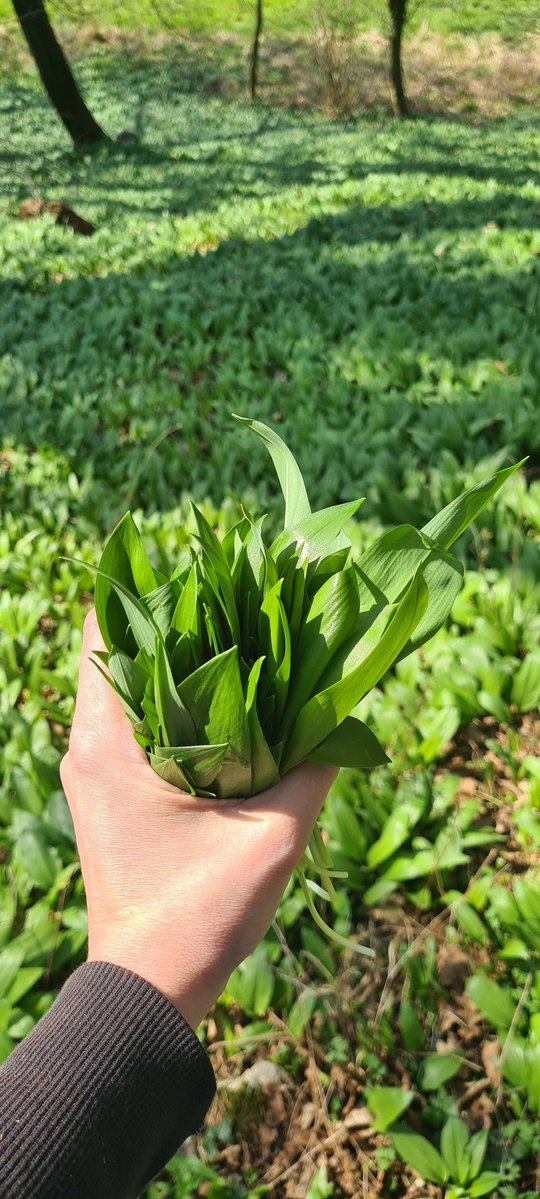 Tschuuuly tweet media