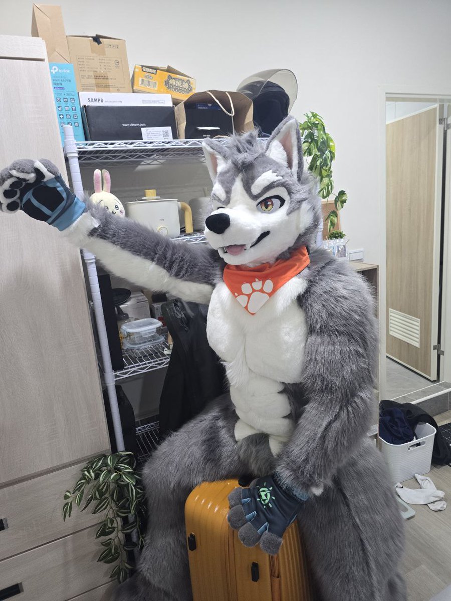 晴海徹 (はるみ とおる) 寫真系Vtuber🔜長毛了 tweet media