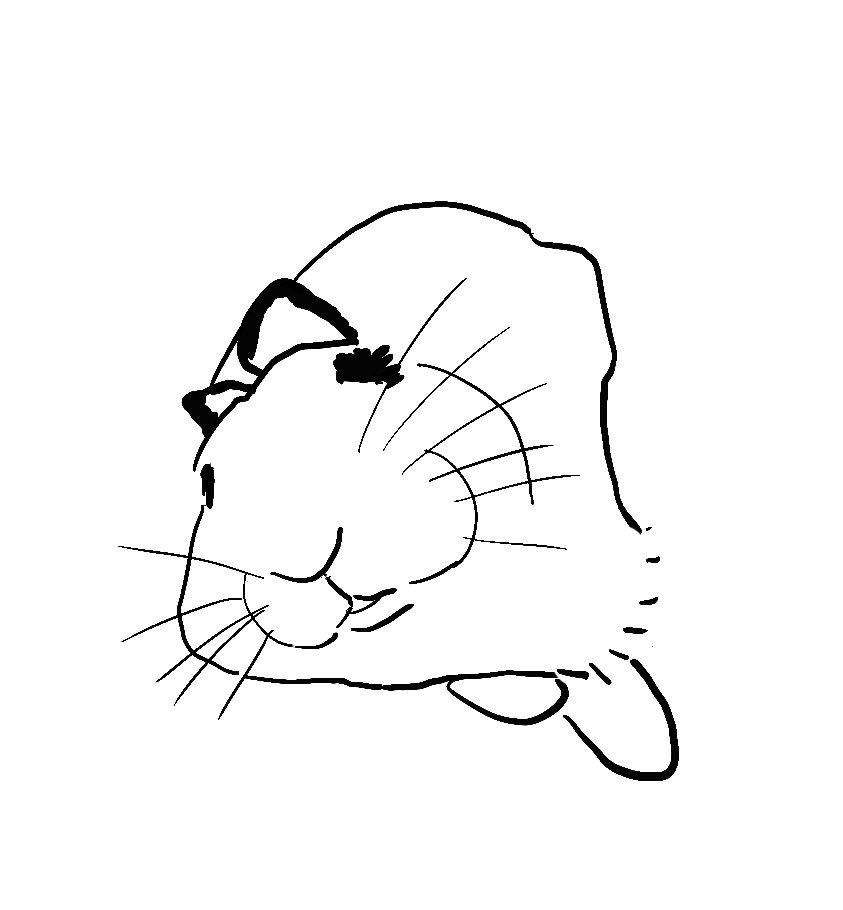 토끼 그리는 계정 tweet media