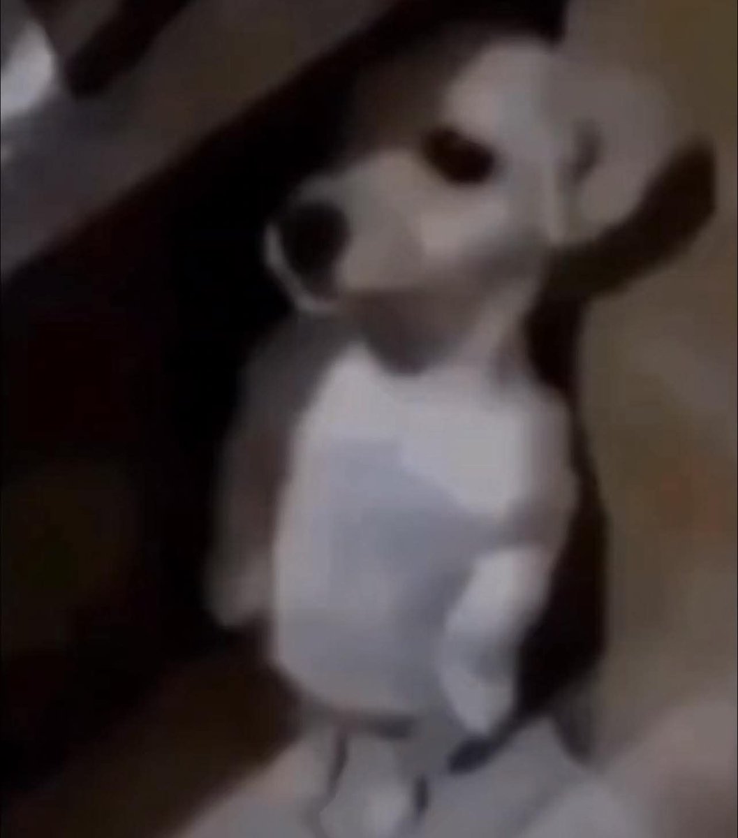 TJ_Forex tweet media