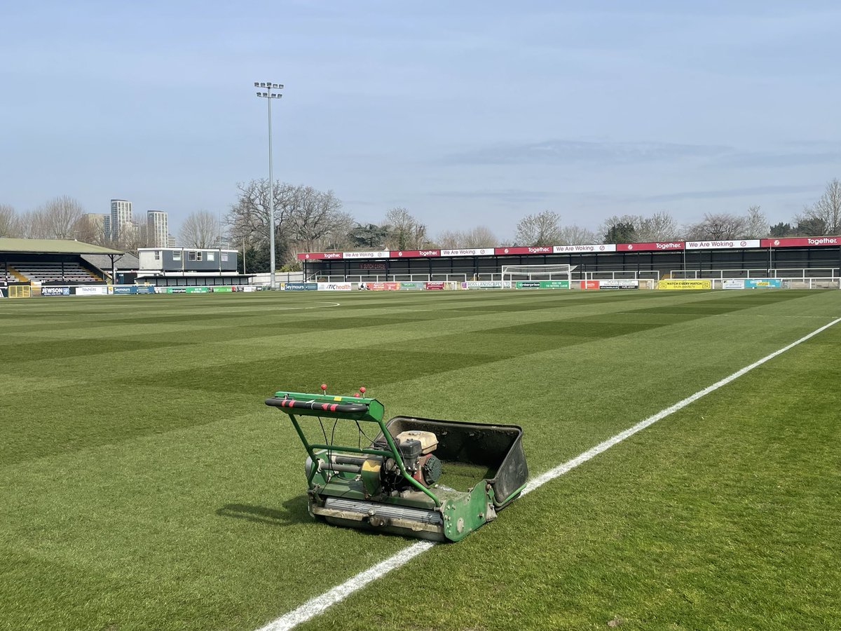 Jordan buckland tweet media