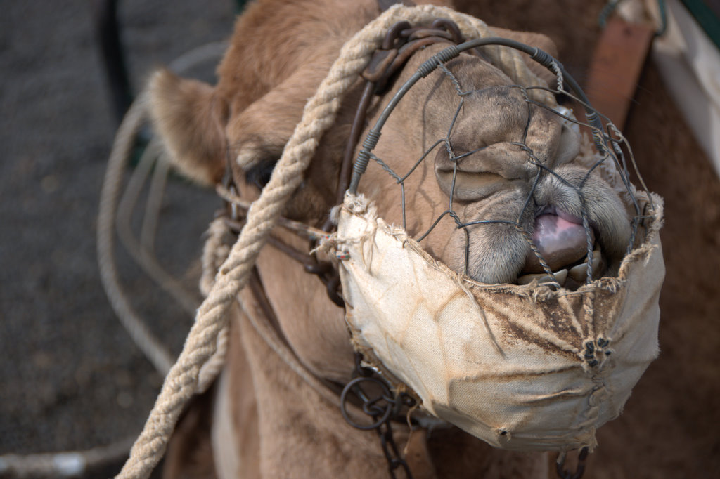 Rubén Pérez tweet media