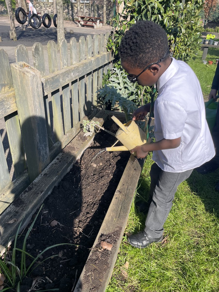 St Andrew's tweet media