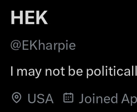 Epstein's Baby tweet media