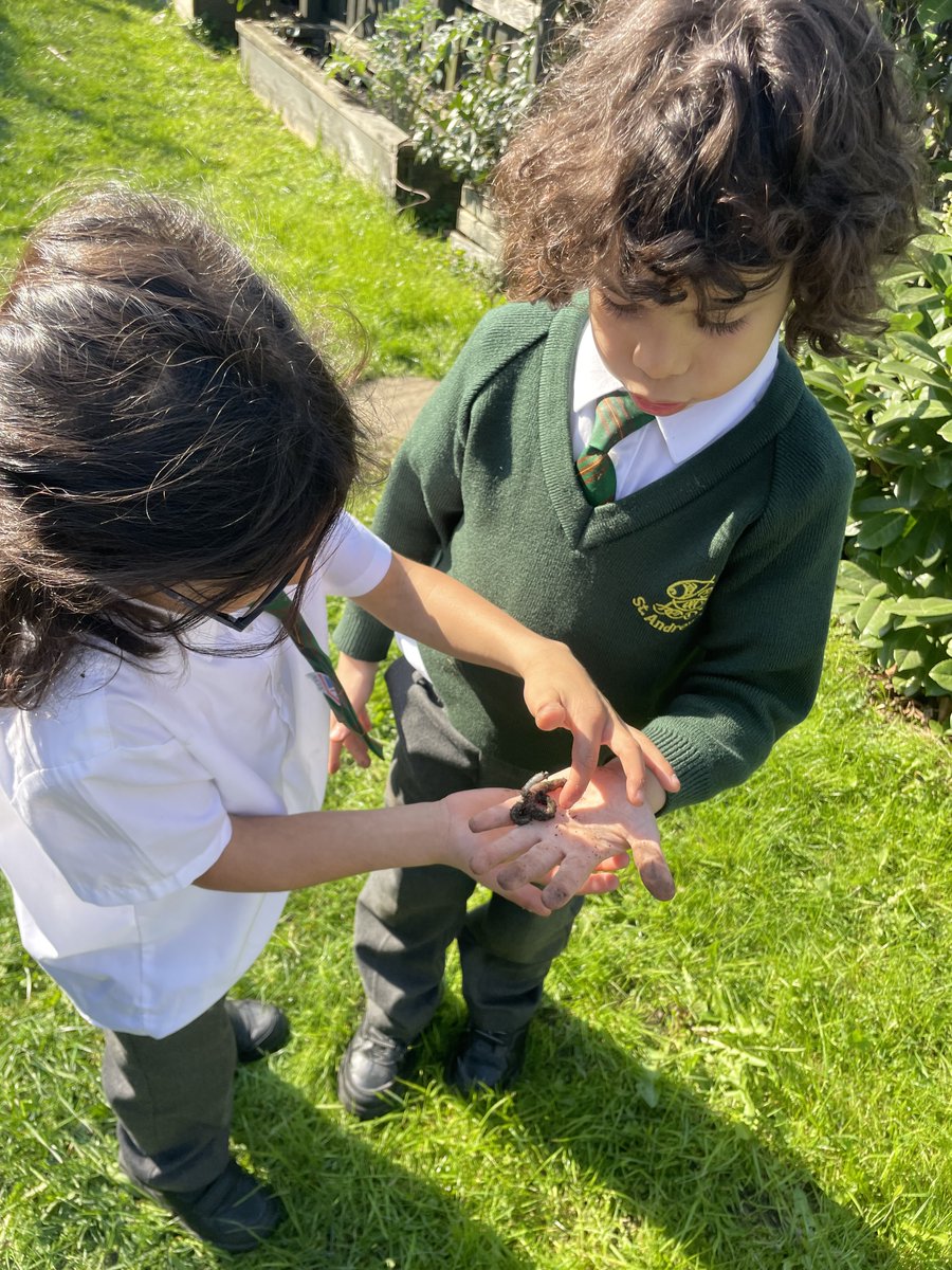 St Andrew's tweet media