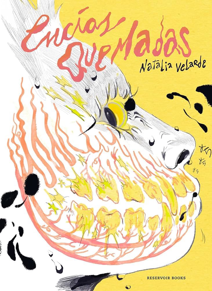 Jorge Iván Argiz tweet media